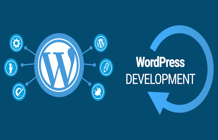 WordPress Developer.